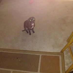 Meet your Posher, Sonya